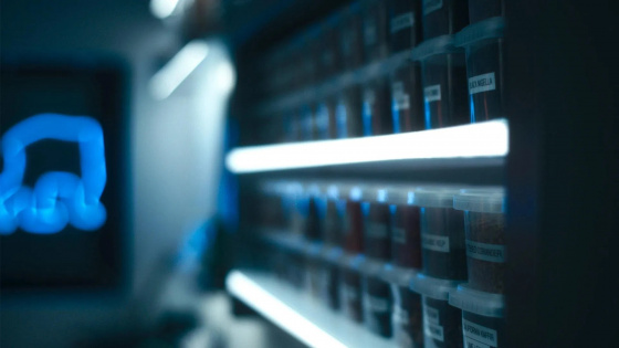 Медведь 4 сезон 10 серия